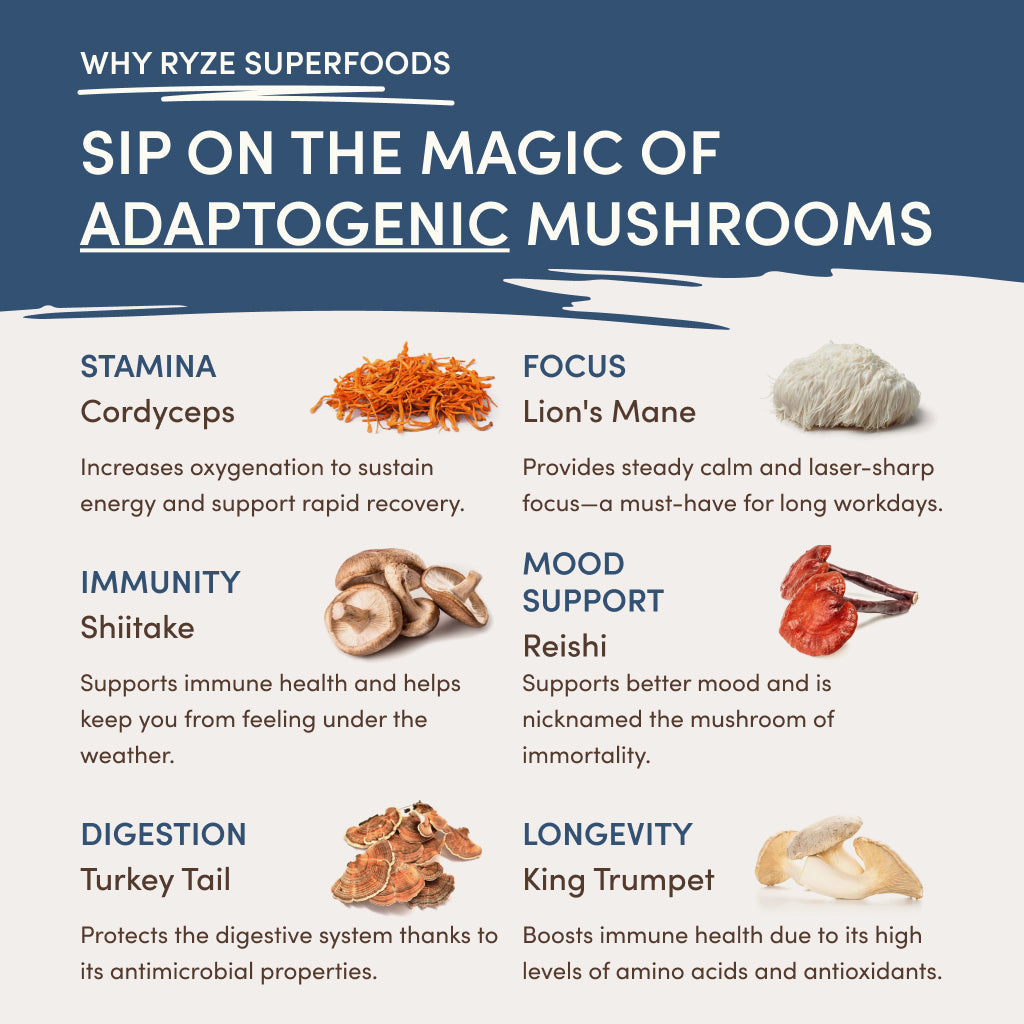 RYZE Nighttime Mushroom Cocoa Starter Bag - Quick Grab