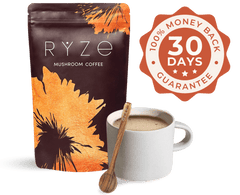 Cocoa Free Gift Bundle - Gift Ready