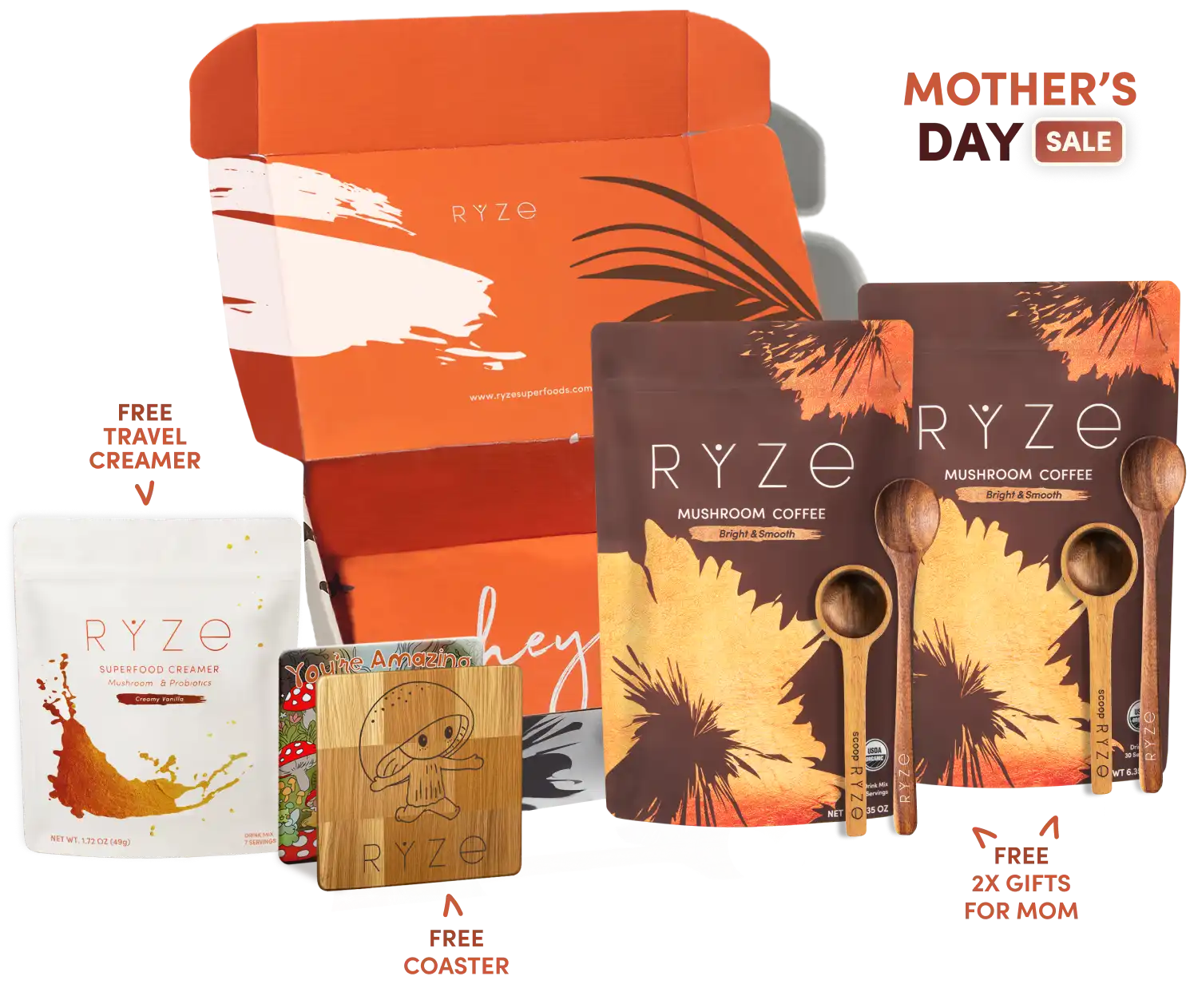 Shipping Protection - Modern Ready