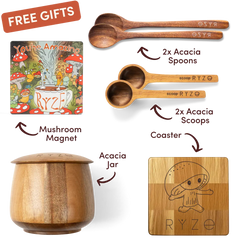 Free Gift Bundle - Fresh Pair