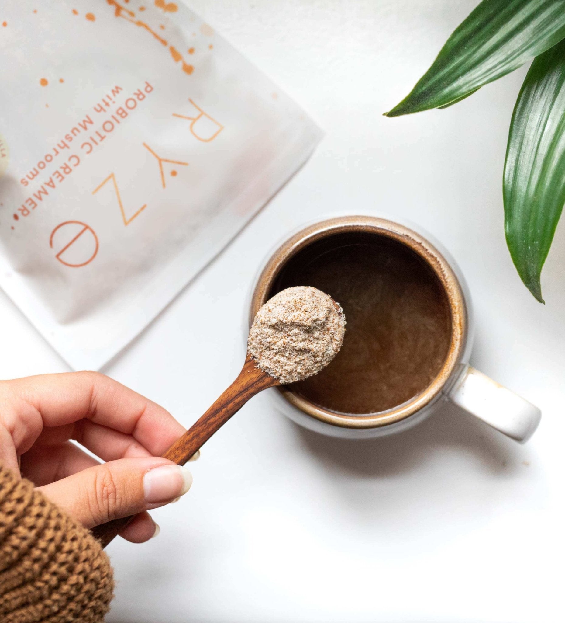 FREE Creamer (30 Servings) - Fresh Style
