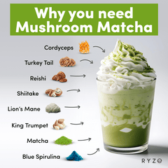 RYZE Matcha - with 6 Organic Adaptogenic Mushrooms Grown In USA and Ceremonial-Grade Japanese Matcha - Simple Edit