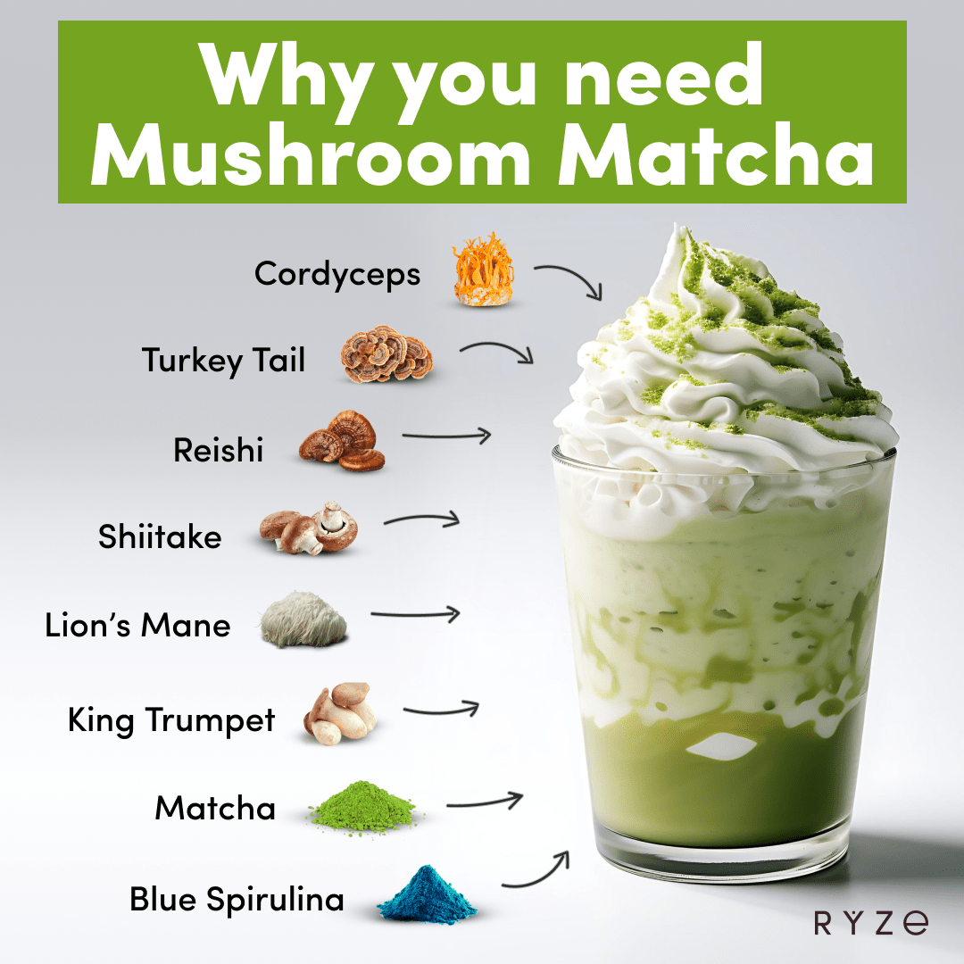 RYZE Organic Matcha Starter Kit (60 servings) - Gift Ready